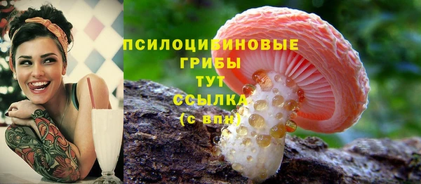 бутират Лиски
