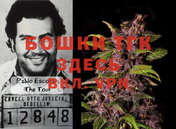 мдпв Липки