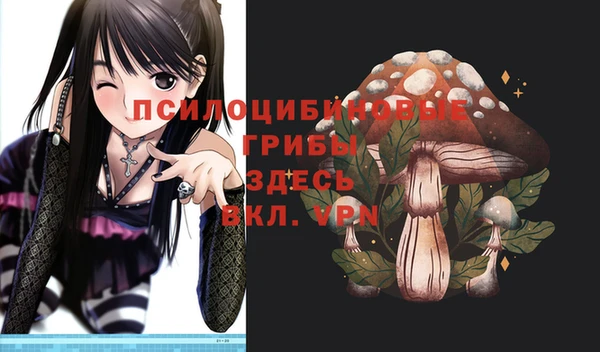 мдпв Липки