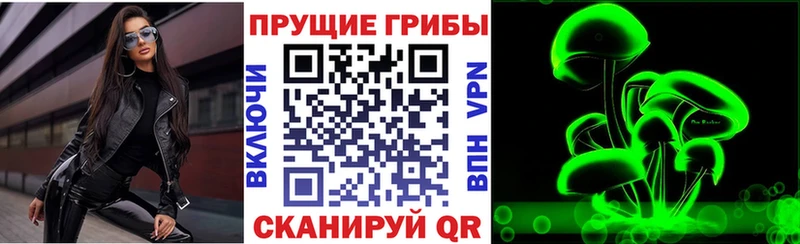 Псилоцибиновые грибы MAGIC MUSHROOMS  Набережные Челны 