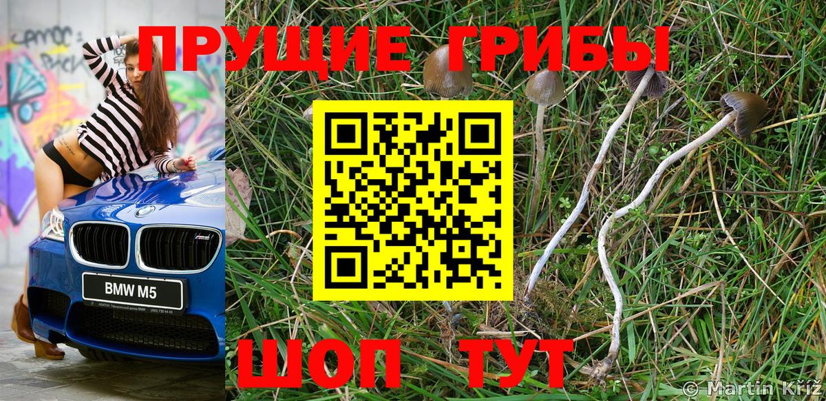 Галлюциногенные грибы прущие грибы  Набережные Челны 