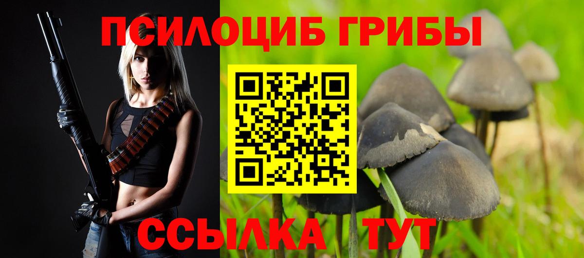 Набережные Челны  Галлюциногенные грибы Psilocybine cubensis  Вход с VPN 